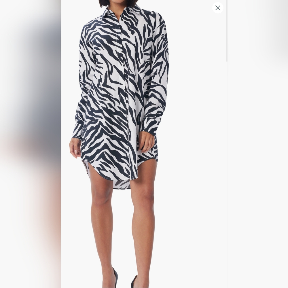 LITA by Ciara Zebra Stripe Long Sleeve Oversize Cotton Shirtdress